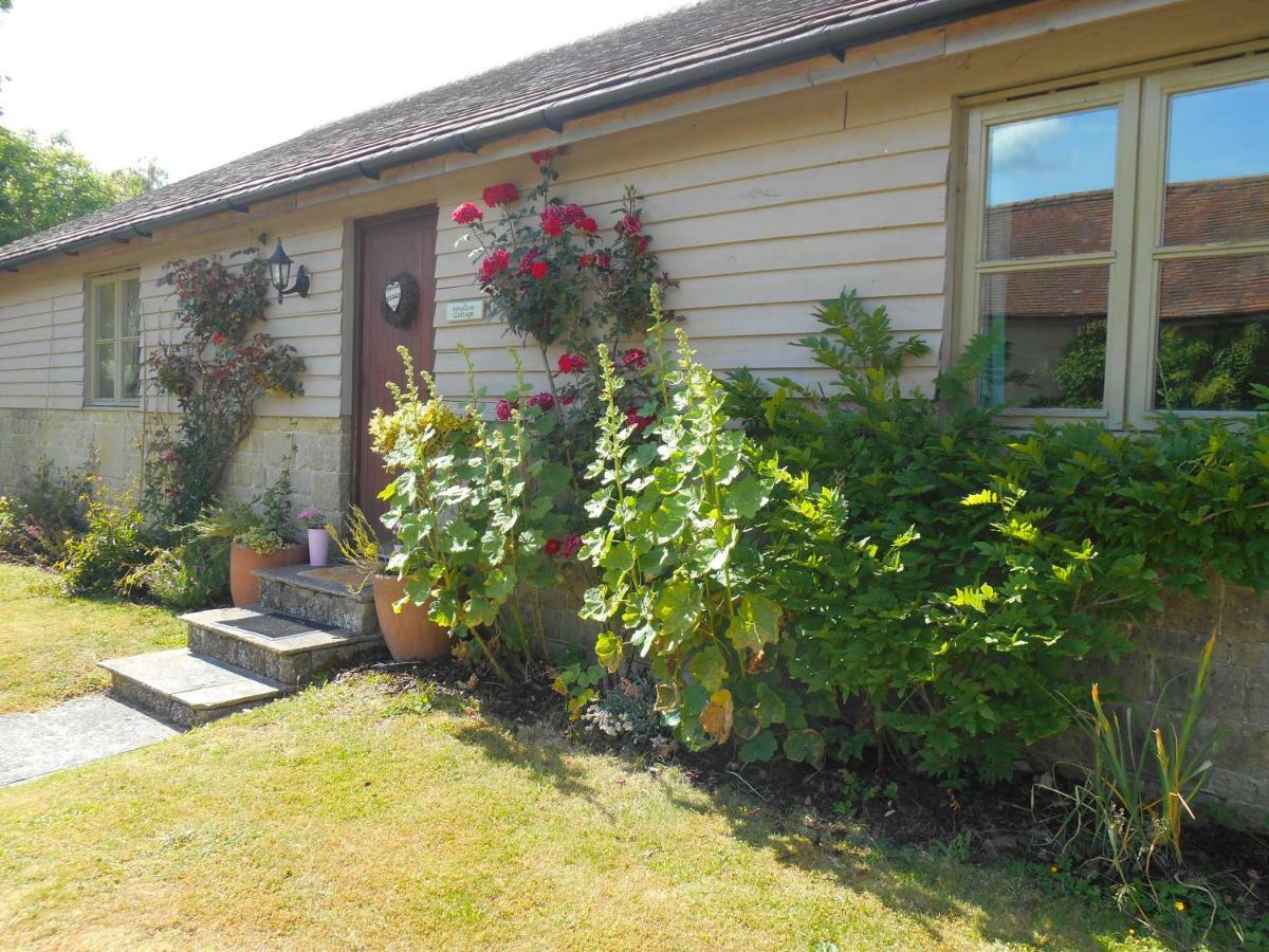 Spacious Swallow Cottage Tisbury Εξωτερικό φωτογραφία